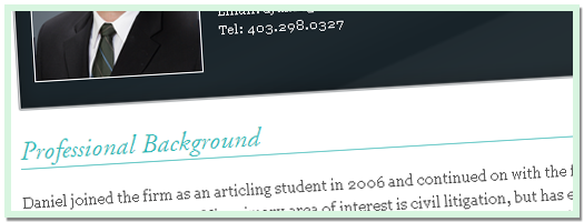 Miles Davison Lawyer Profile - 2012